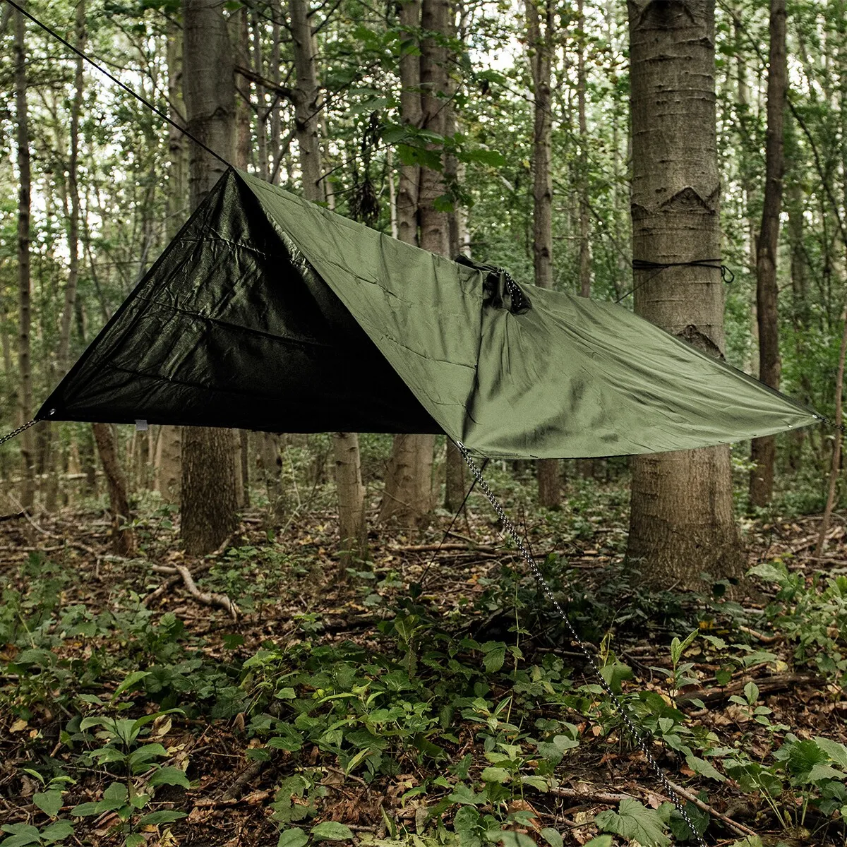 poncho-1786775918226.webp