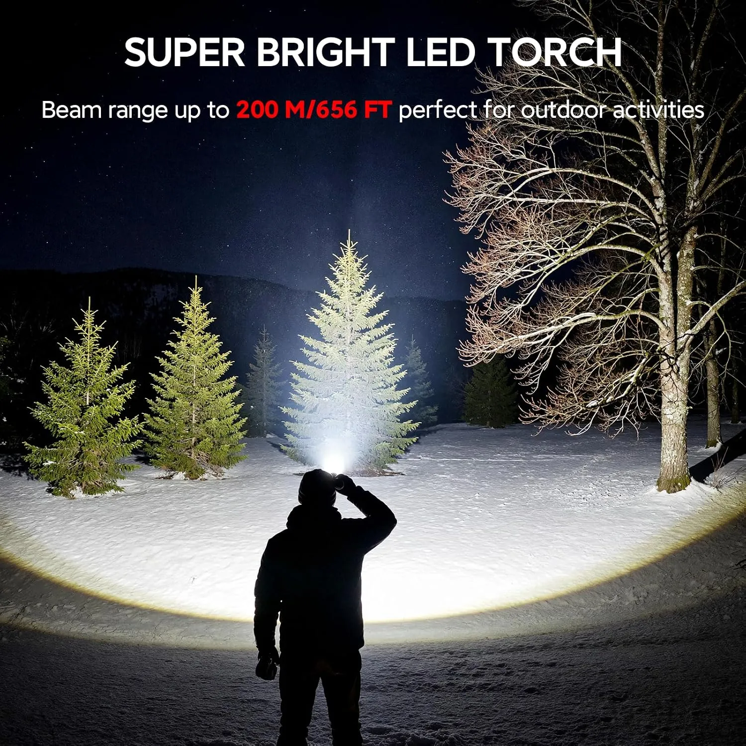 torch3-1786775526266.webp